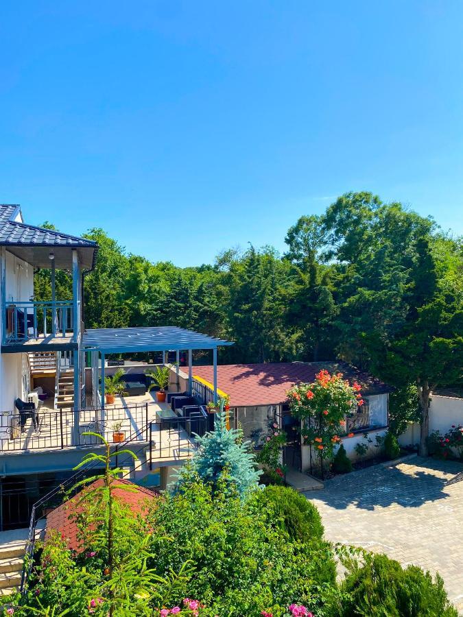 Complex Casa Leul